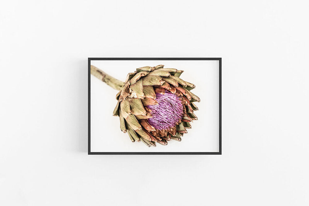 Artichoke III