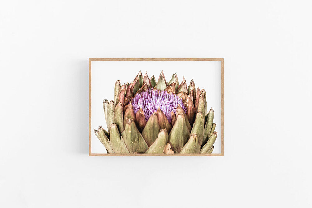 Artichoke II