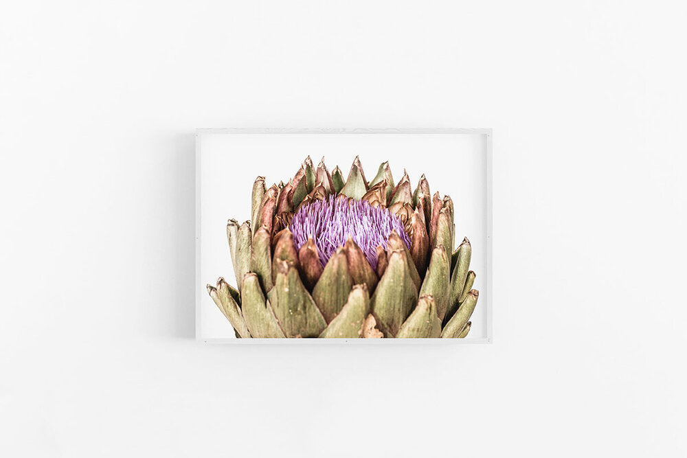 Artichoke II