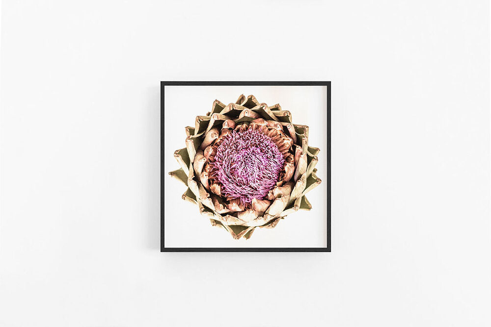 Artichoke VI