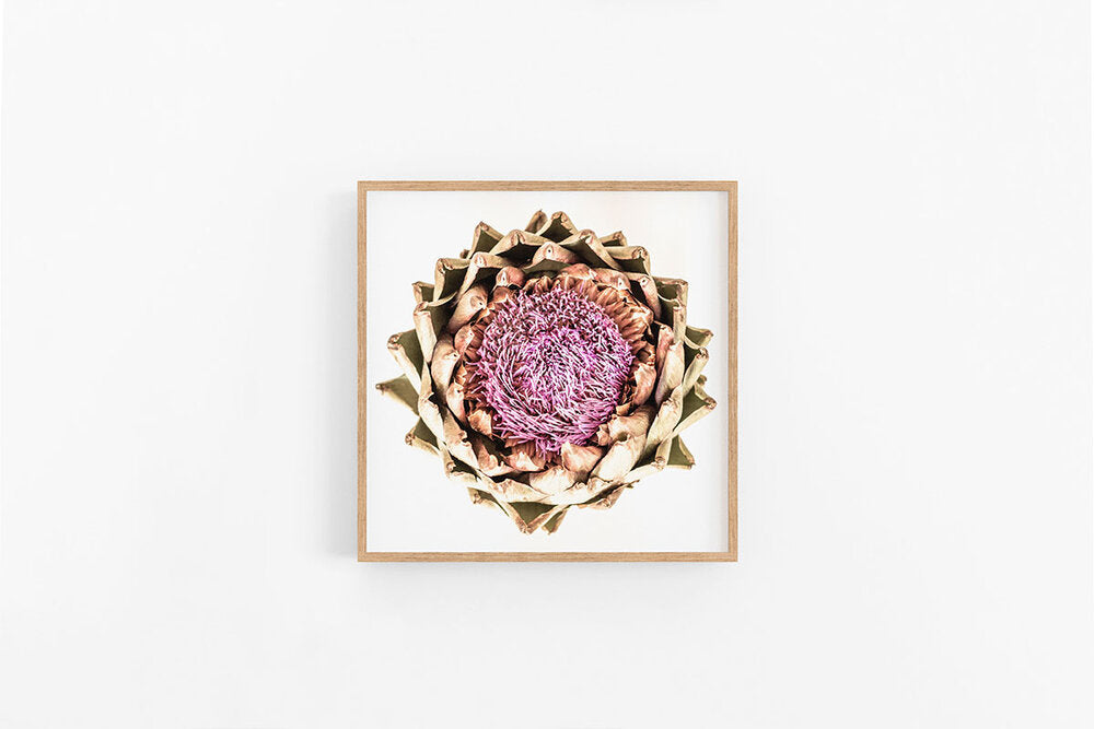 Artichoke VI | Flower Photo Print | Lynette Cooper Prints and Sketches