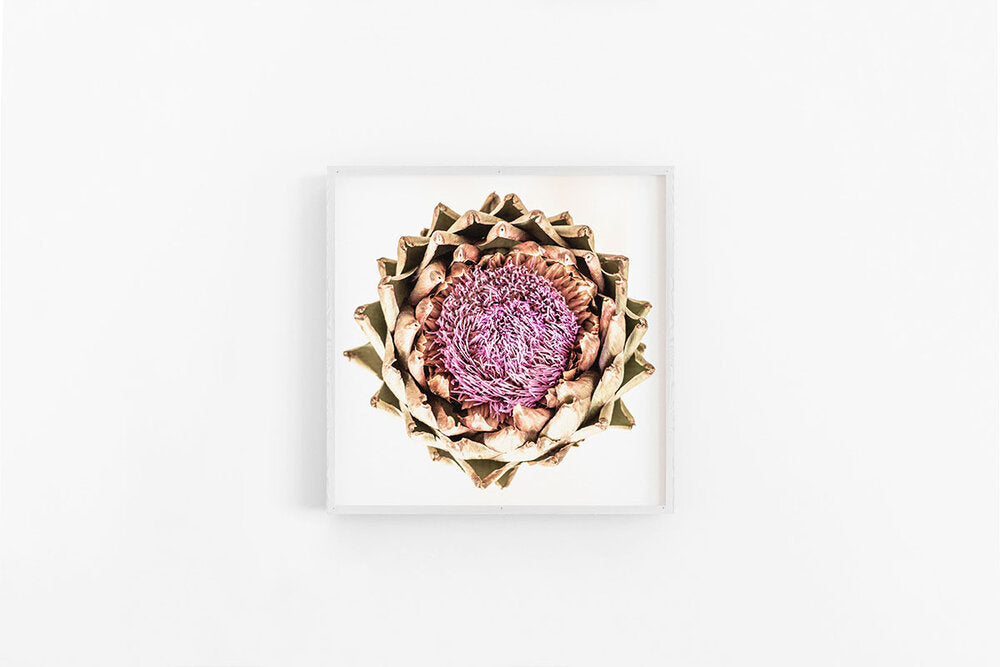 Artichoke VI