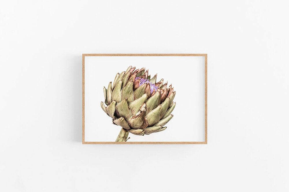 Artichoke V