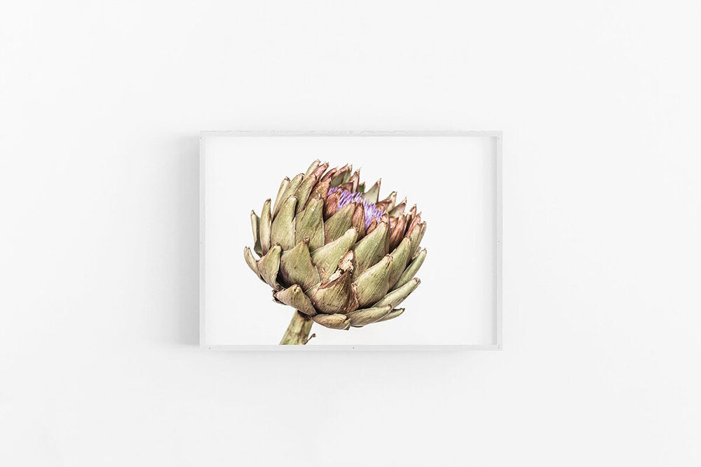 Artichoke V