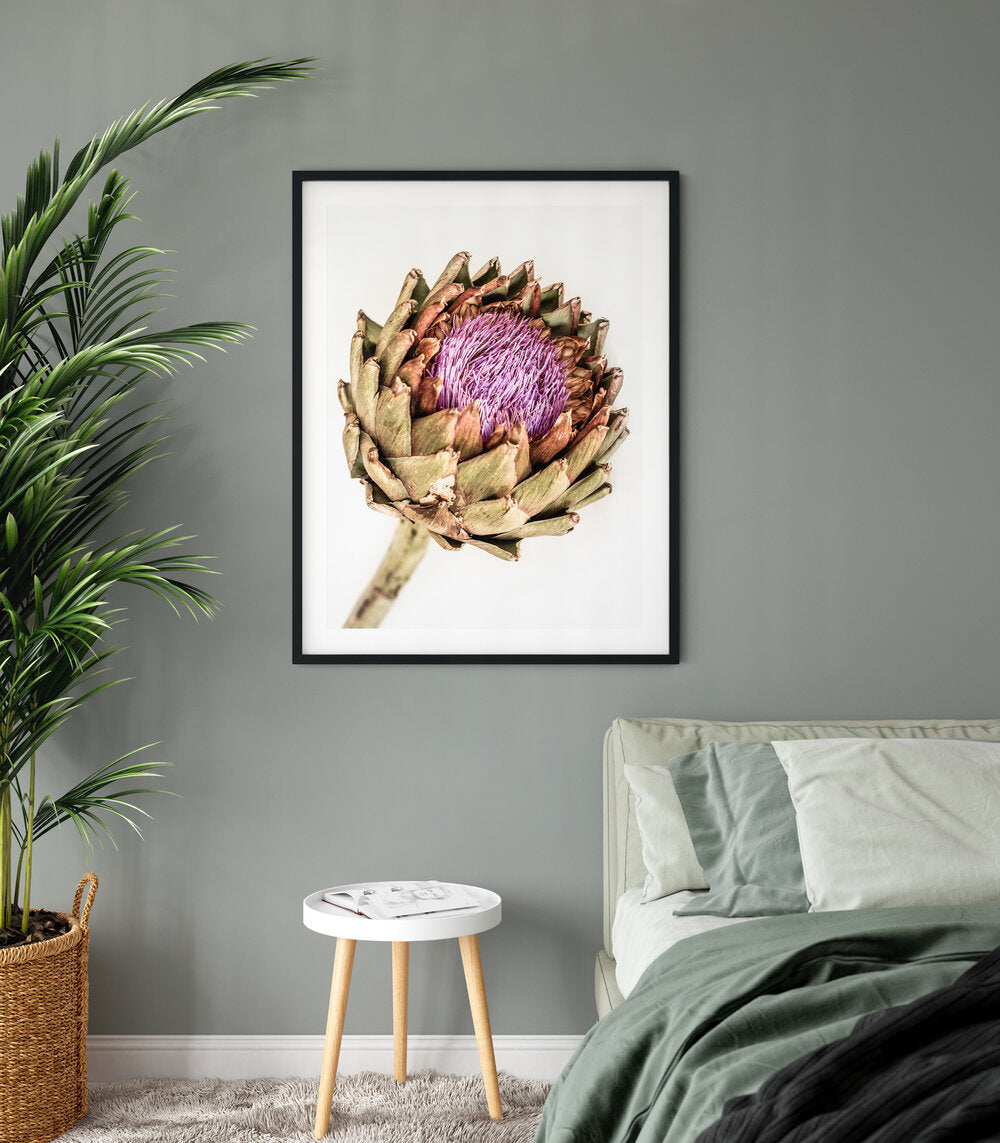 Artichoke III