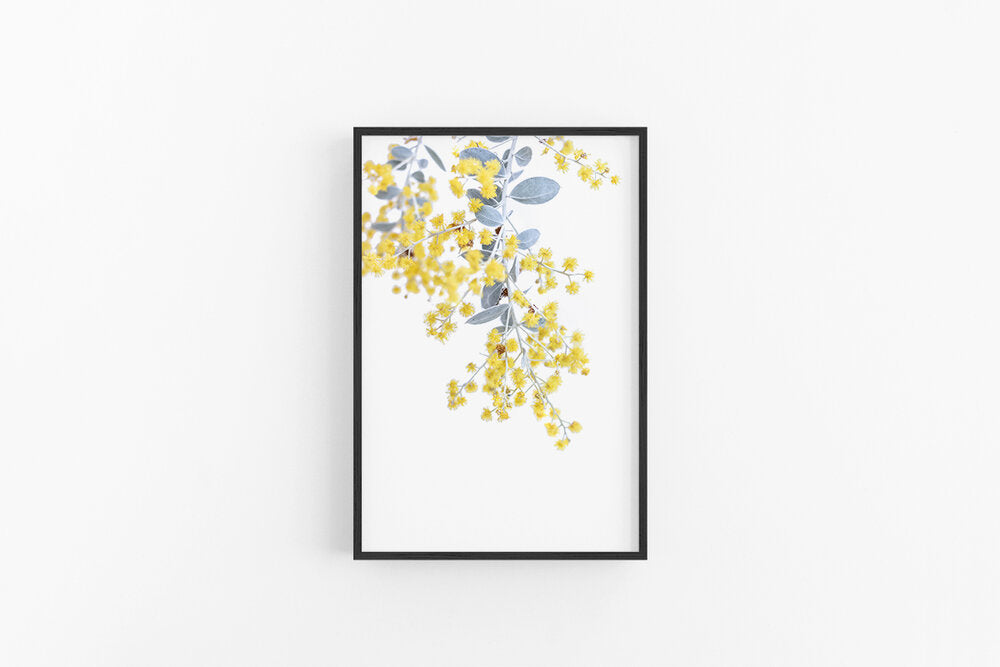 Wattle I