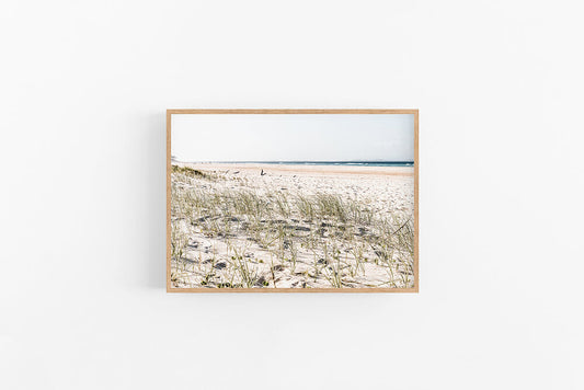 Beach Grass | Beach Wall Art Print - Beach Artwork Print | Lynette Cooper Prints and Sketches
