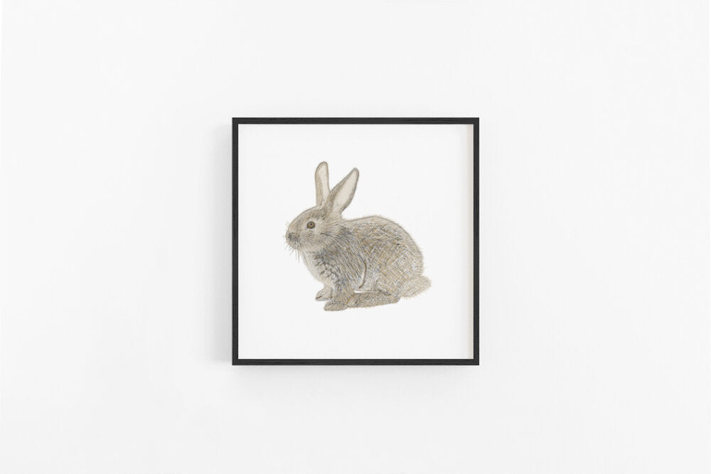 Bunny Sketch