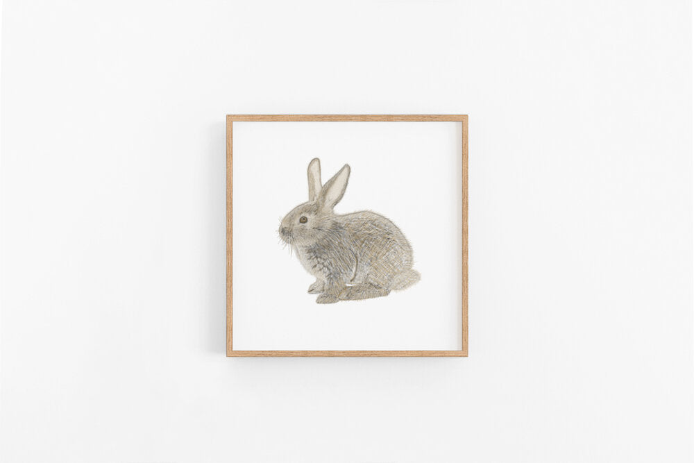 Bunny Sketch