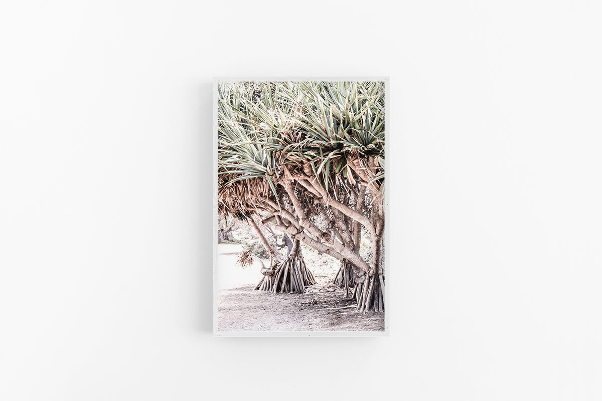 Pandanus Path (Portrait)