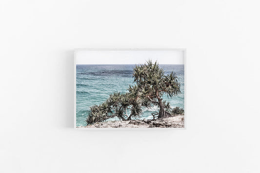 Pandanus IV | Beach Pandanus Tree Wall Art Print | Lynette Cooper Prints and Sketches