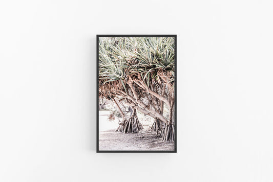 Pandanus Path P | Coastal Boho Palm Fine Art Wall Print | Lynette Cooper Prints and Sketches