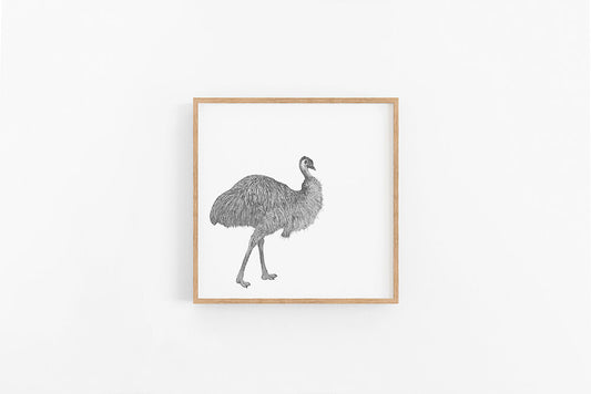 Emu Sketch