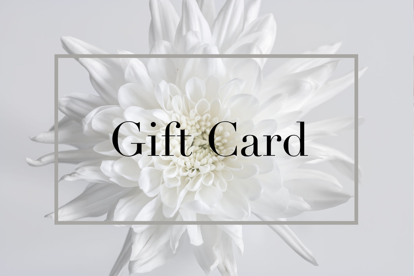 Lynette Cooper Prints and Sketches | Wall Art | Gift Card