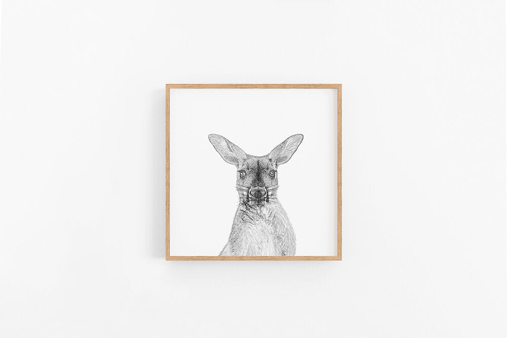 Kangaroo Sketch II