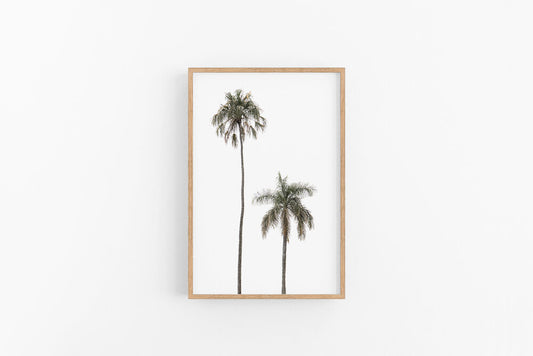 Two Palms | Coastal Boho Tall Palm Photographic Print | Lynette Cooper Prints and Sketches