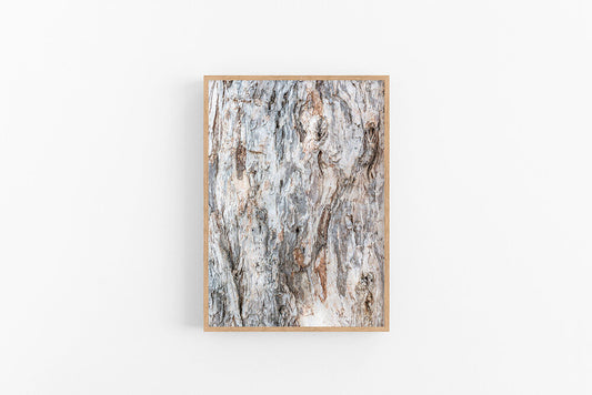 Paperbark II | Paperbark Texture Wall Art Print | Lynette Cooper Prints and Sketches