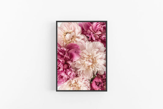 Peonies | Modern Floral Peony Wall Print | Lynette Cooper Prints and Sketches