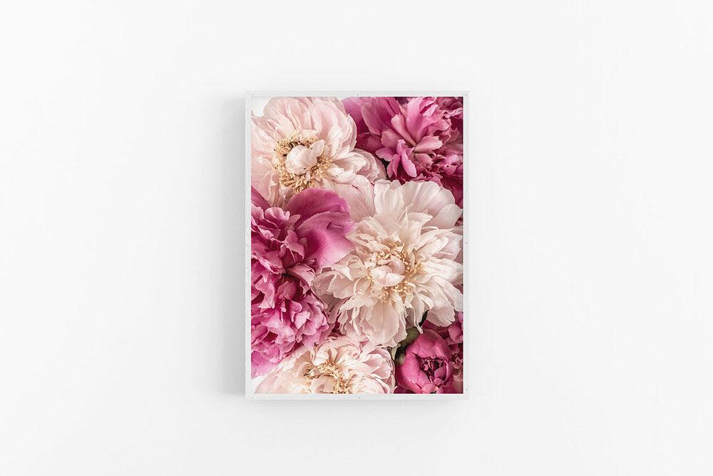 Peonies