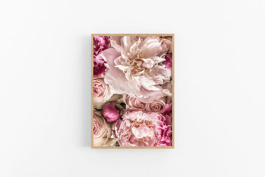 Peony & Rose II | Pink Rose Peony Photographic Print | Lynette Cooper Prints and Sketches