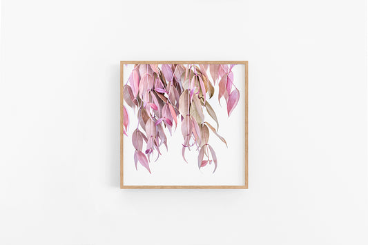 Pink Leaves IV | Blush and Nude Leaf Print | Lynette Cooper Prints and Sketches