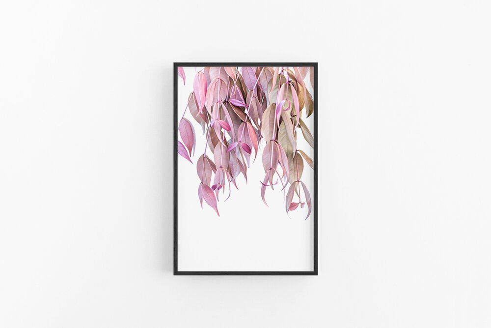 Pink Leaves III