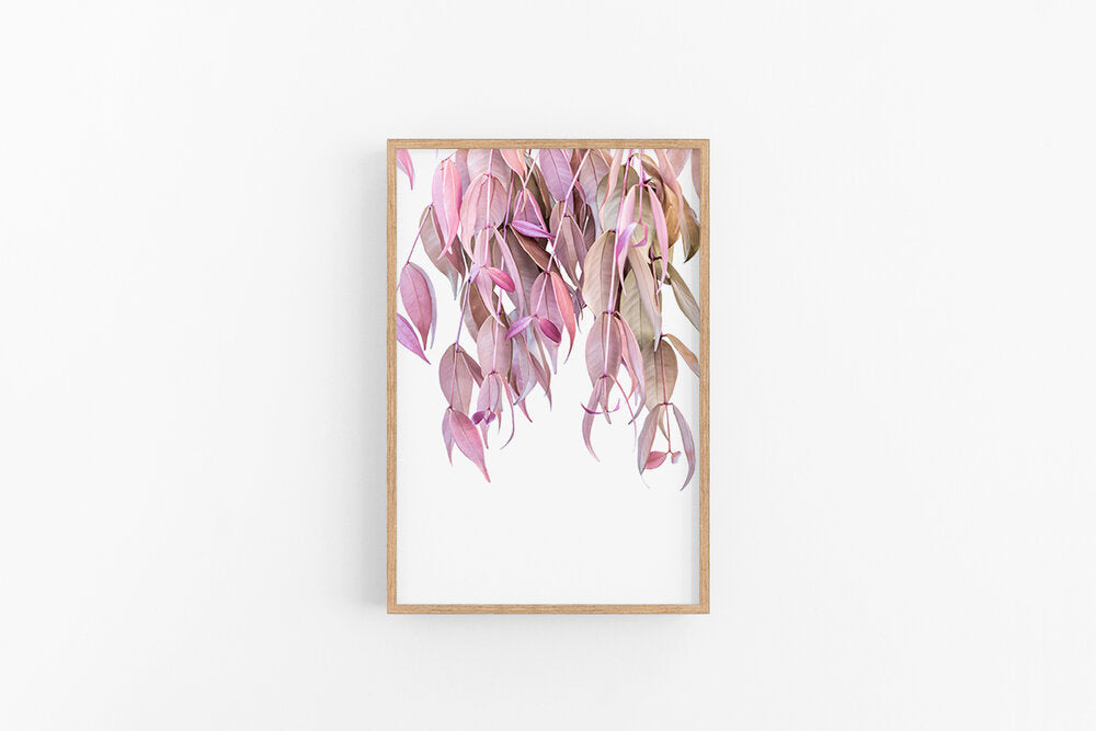 Pink Leaves III