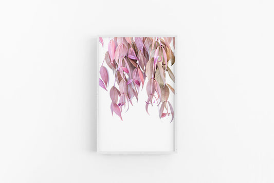 Pink Leaves III | Soft Blush Leaves Wall Poster Print | Lynette Cooper Prints and Sketches