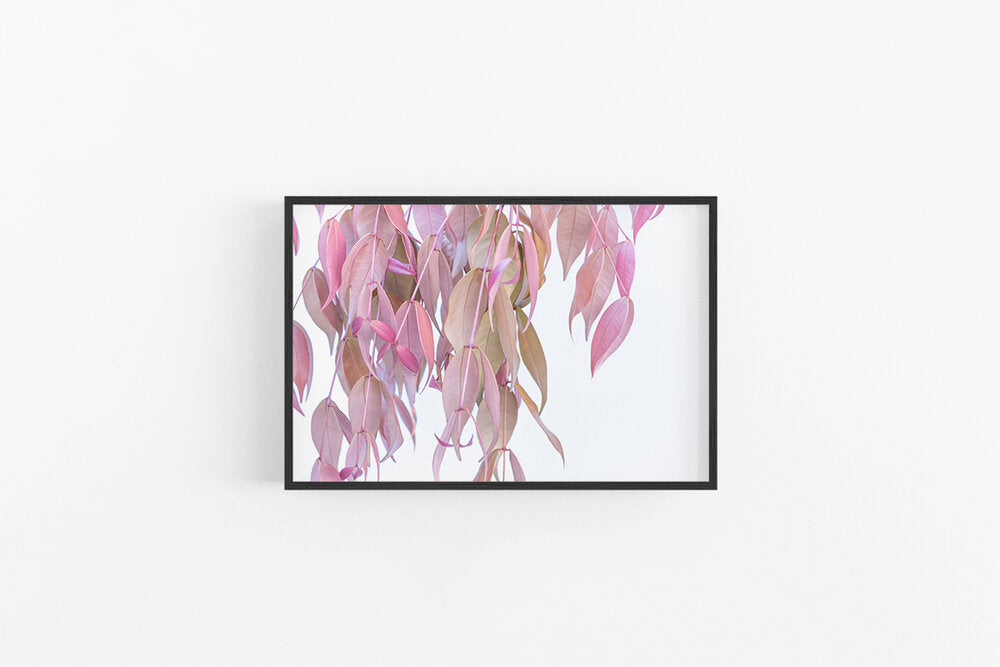 Pink Leaves I