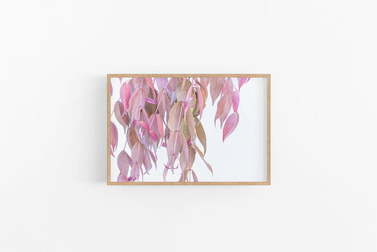 Pink Leaves I | Feminine Leaf Wall Art Print | Lynette Cooper Prints and Sketches
