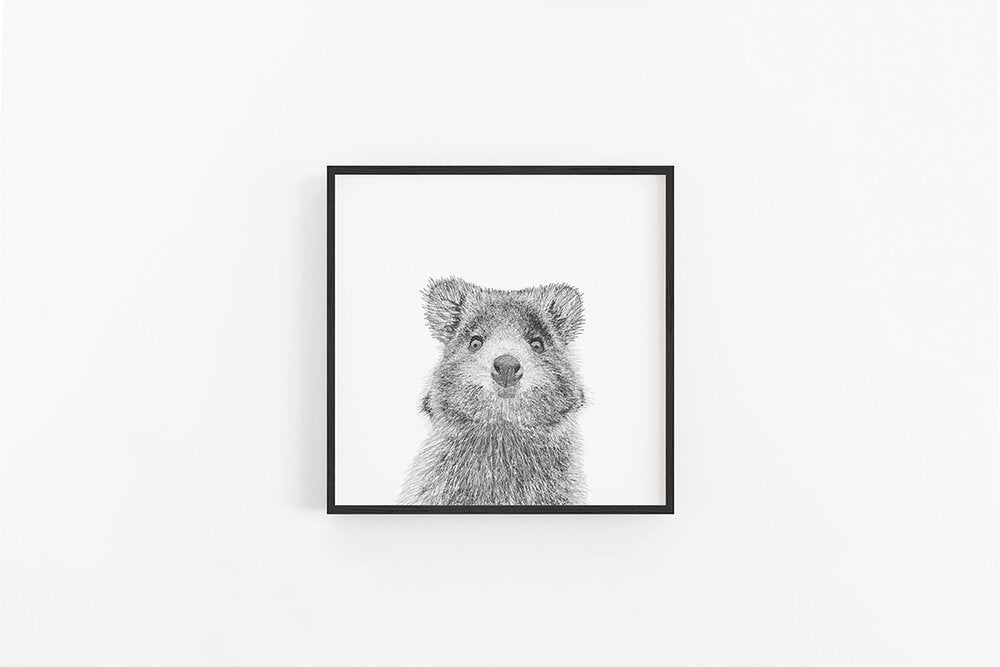 Quokka Sketch