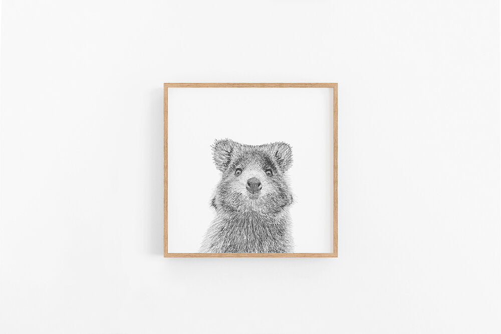 Quokka Sketch