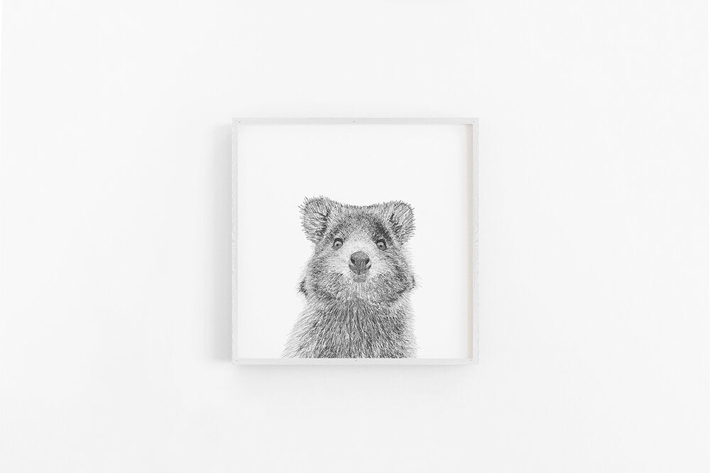 Quokka Sketch