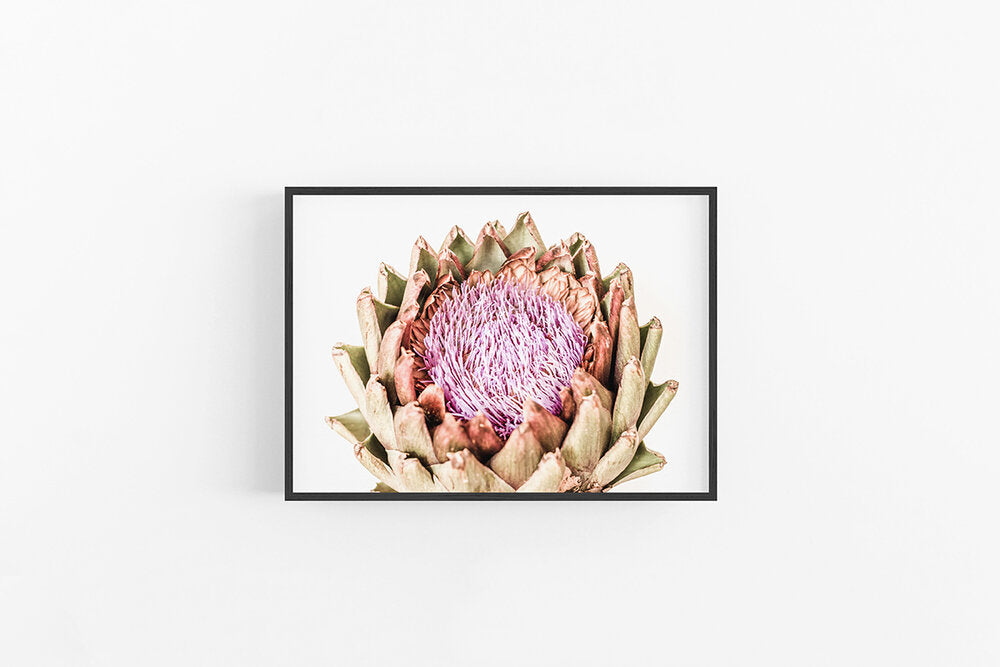 Artichoke I