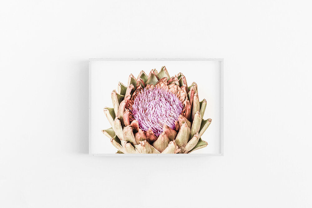 Artichoke I