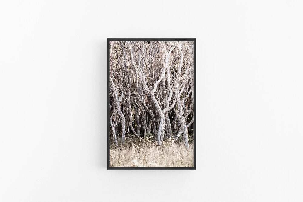 Beach Forest III (Portrait)