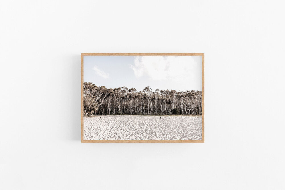 Beach Forest II | Australian Landscape Print Forest Poster Print | Lynette Cooper Prints & Sketches