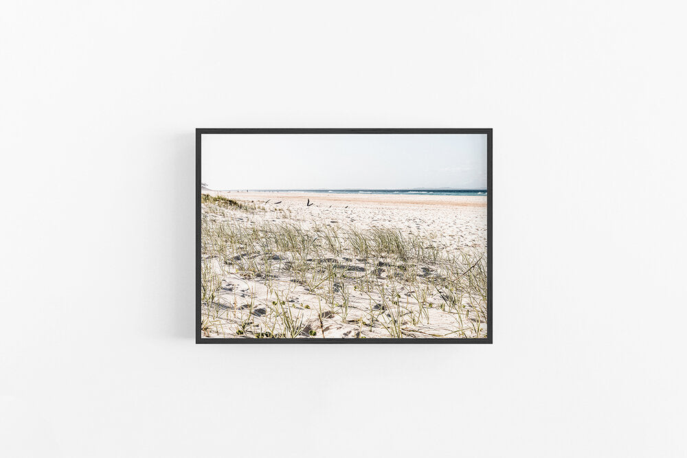 Beach Grass