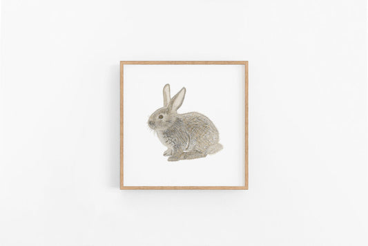 Bunny Sketch