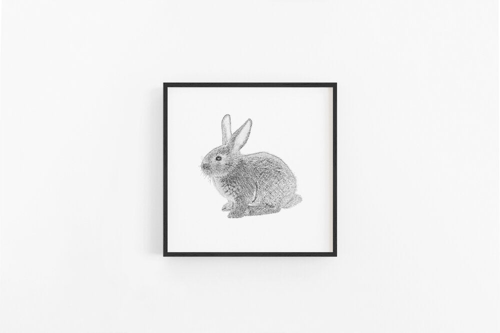 Bunny Sketch Black &amp; White