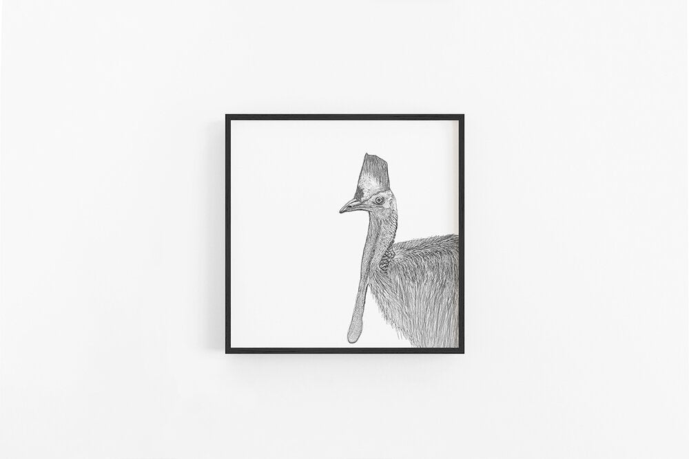 Cassowary Sketch