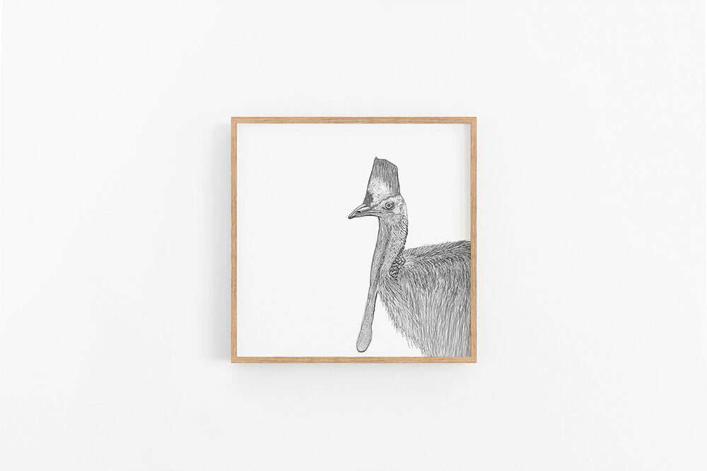 Cassowary Sketch