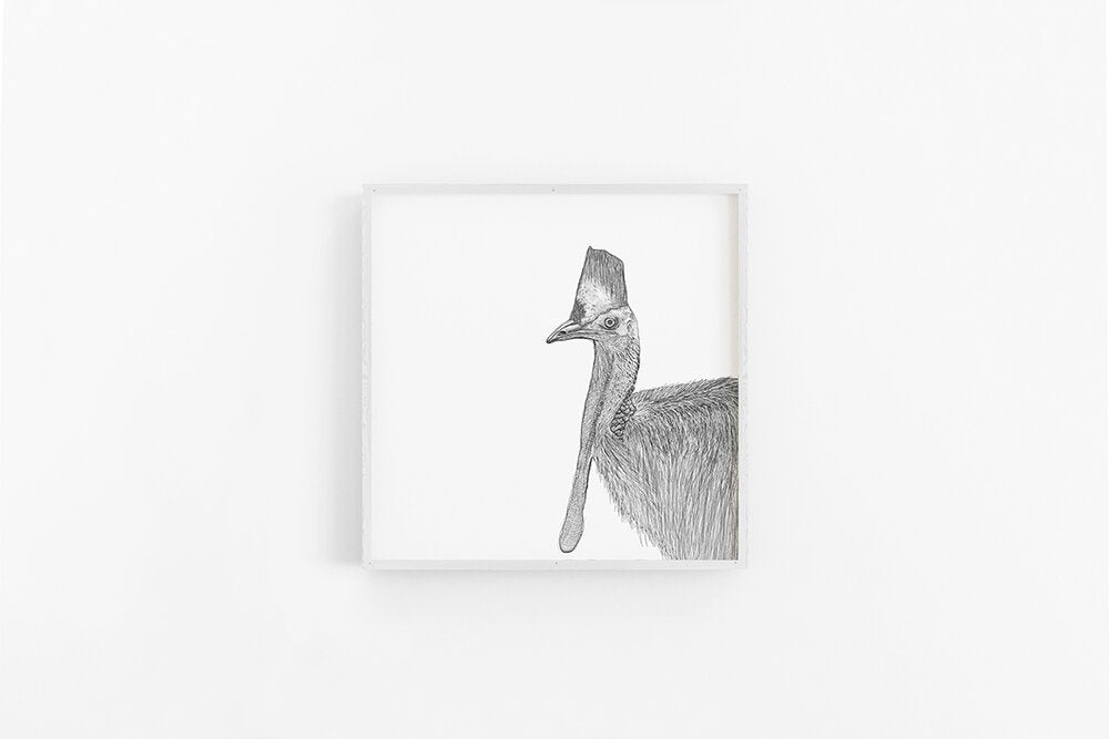 Cassowary Sketch