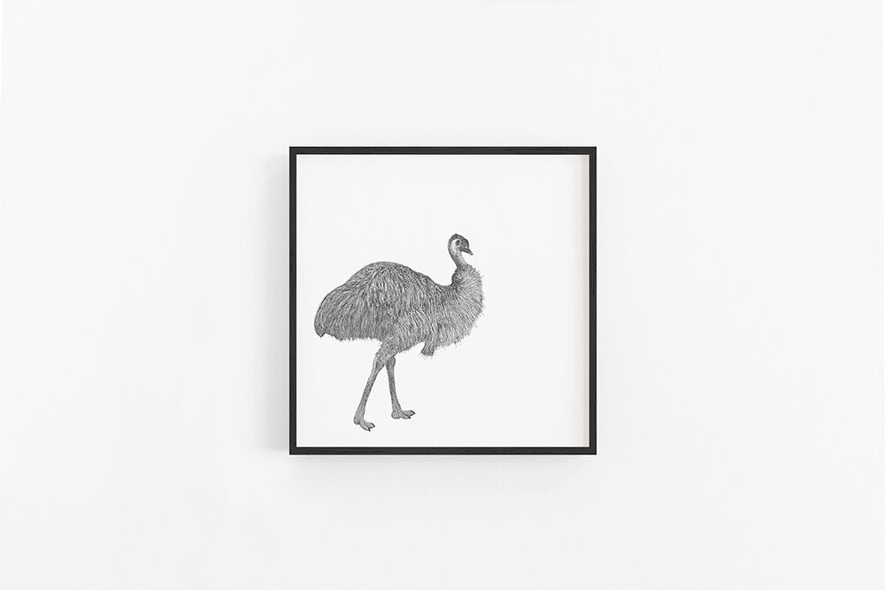 Emu Sketch