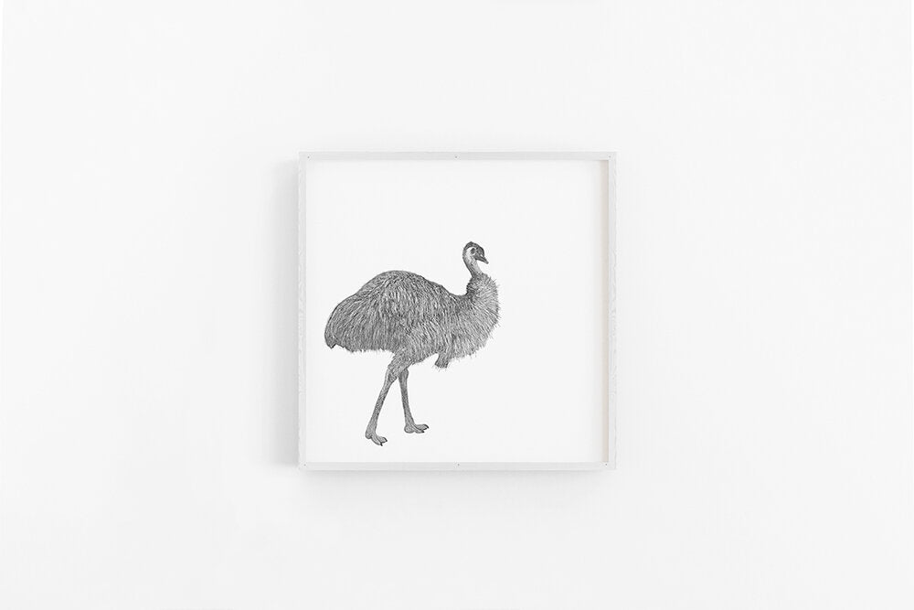 Emu Sketch