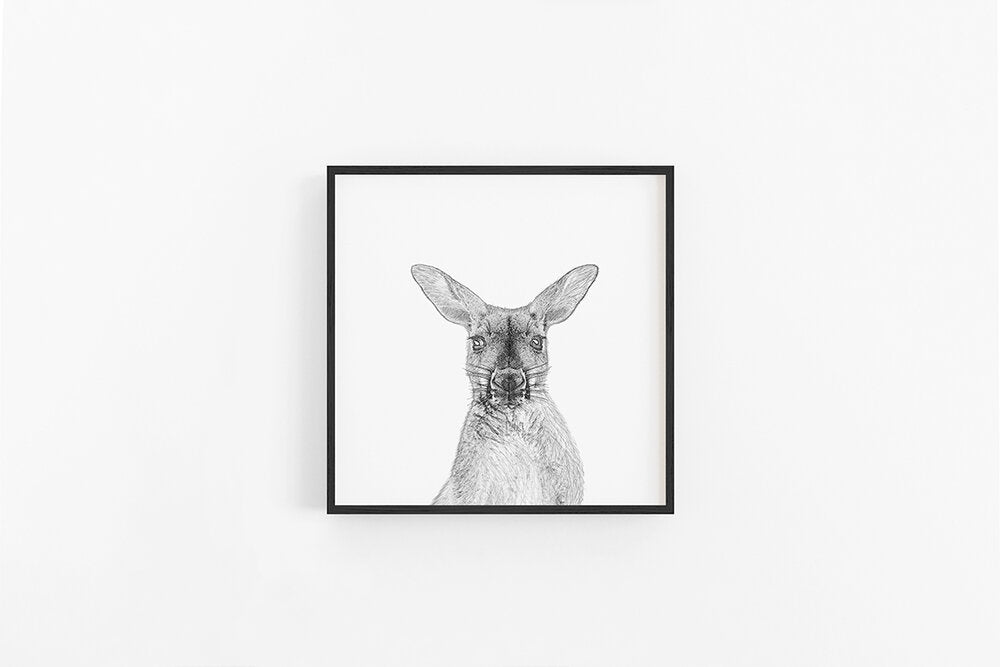 Kangaroo Sketch II