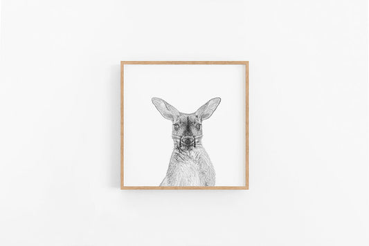 Kangaroo Sketch II
