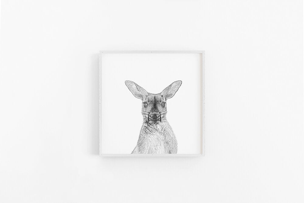 Kangaroo Sketch II