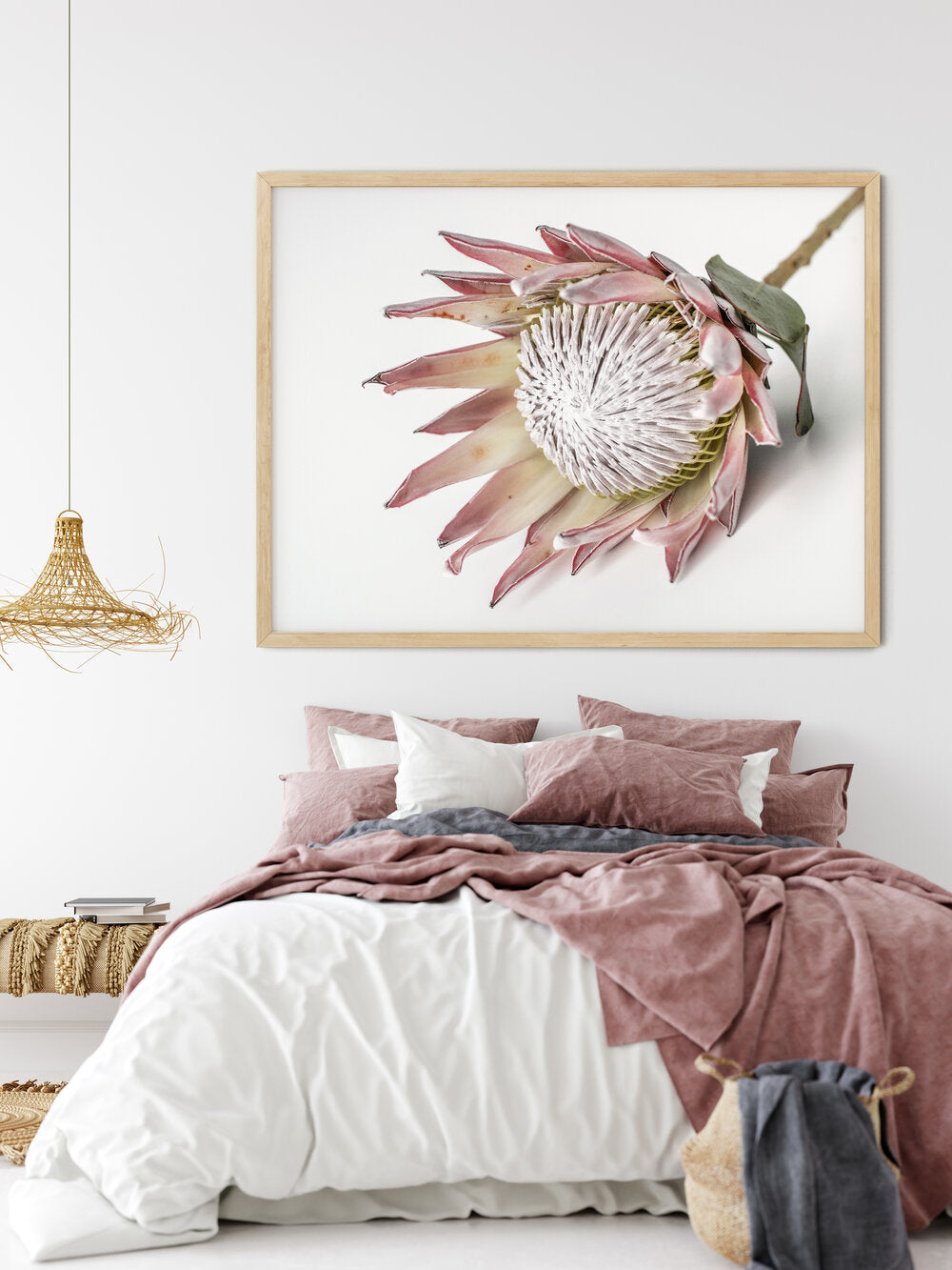 King Protea III