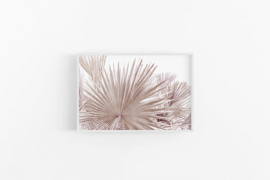 Bronze Palm II | Coastal Boho Brown Bronze Palm Wall Art | Lynette Cooper Prints and Sketches